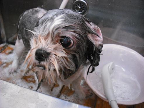 ファイル 1222-2.jpg