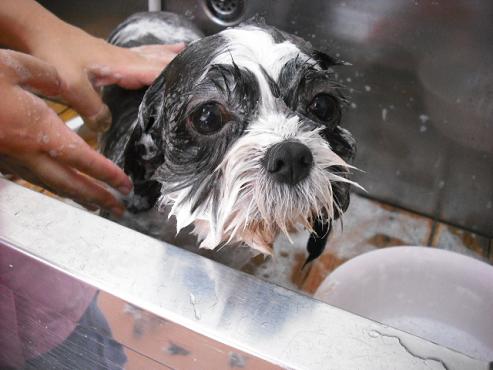 ファイル 1223-2.jpg