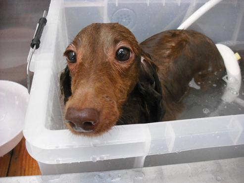 ファイル 1224-2.jpg