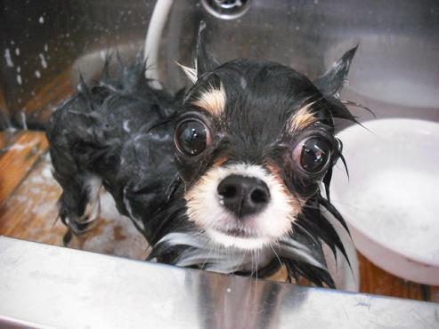 ファイル 1226-2.jpg