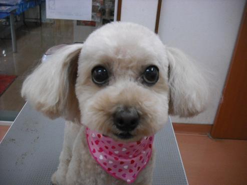 ファイル 1227-1.jpg