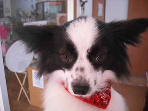 ファイル 123-1.jpg