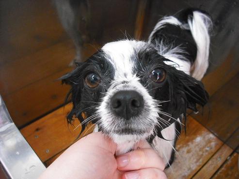 ファイル 123-2.jpg