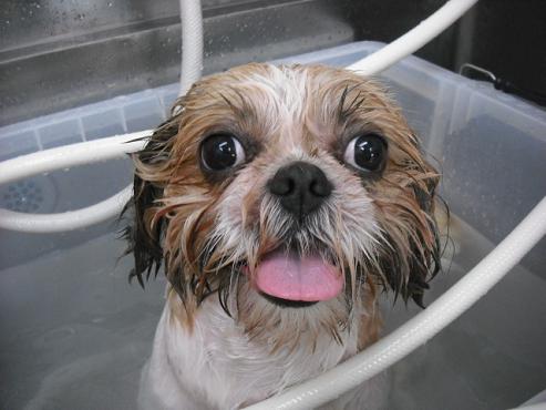 ファイル 1230-2.jpg