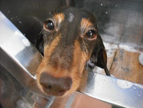 ファイル 1231-2.jpg