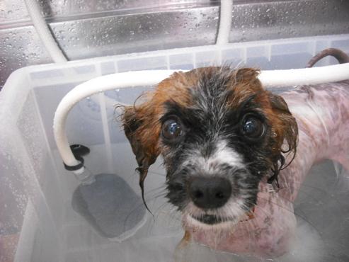 ファイル 1232-2.jpg