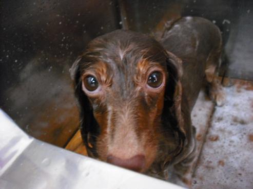 ファイル 1233-2.jpg