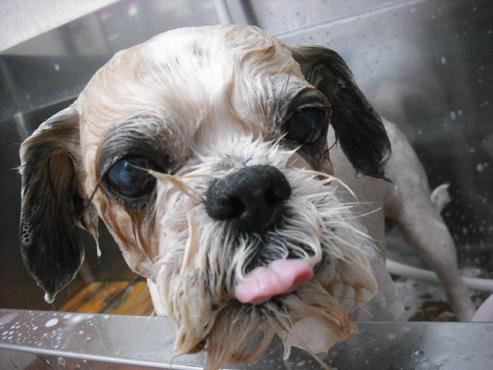 ファイル 1235-2.jpg