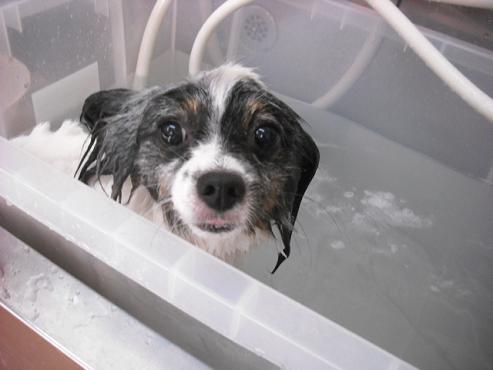 ファイル 1236-2.jpg