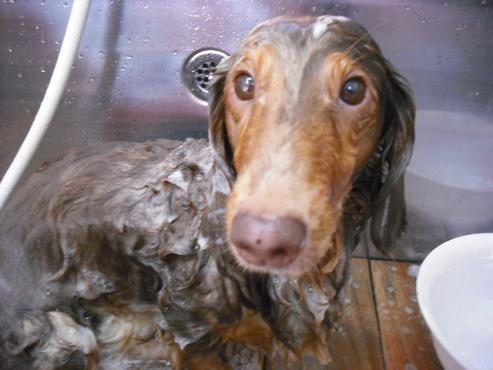 ファイル 1237-2.jpg