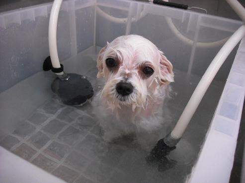 ファイル 1239-2.jpg