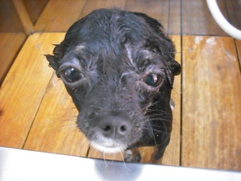 ファイル 124-2.jpg