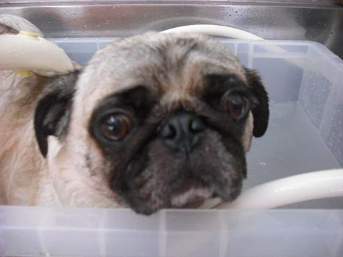 ファイル 1241-2.jpg