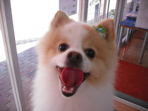 ファイル 1242-1.jpg