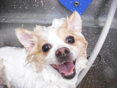 ファイル 1242-2.jpg