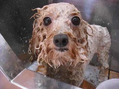 ファイル 1243-2.jpg