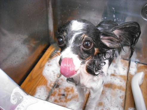 ファイル 1246-2.jpg