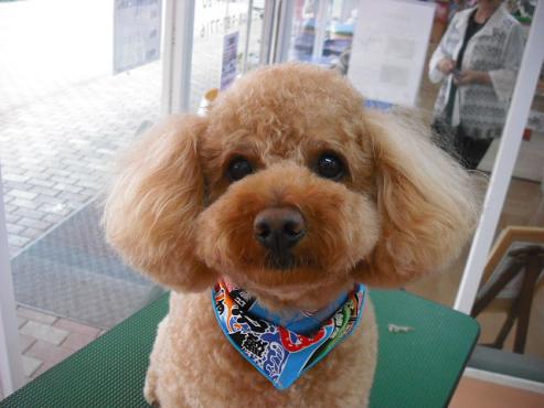 ファイル 1248-1.jpg