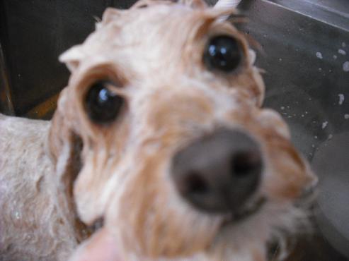 ファイル 1249-2.jpg