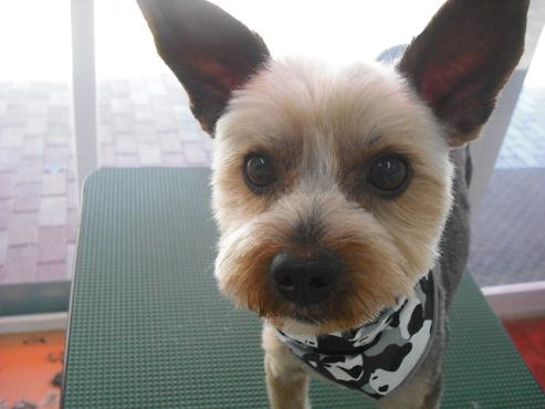 ファイル 125-1.jpg