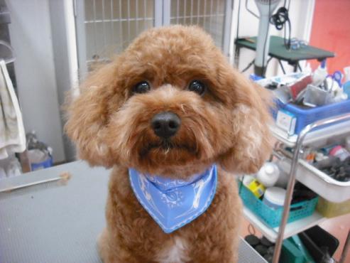 ファイル 1251-1.jpg