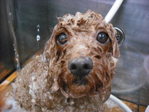 ファイル 1251-2.jpg