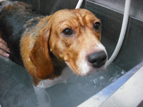 ファイル 1252-2.jpg