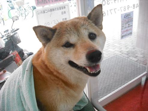 ファイル 1254-2.jpg