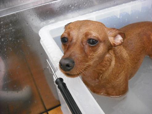 ファイル 1256-2.jpg