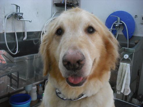 ファイル 1257-1.jpg