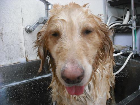 ファイル 1257-2.jpg