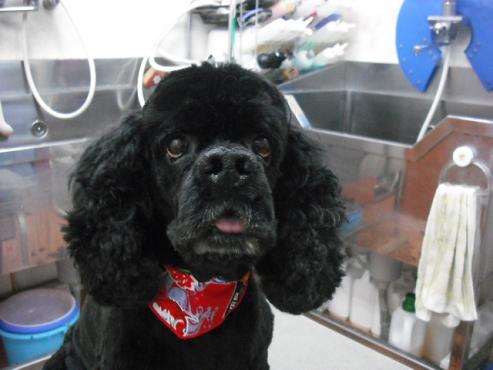 ファイル 1258-1.jpg