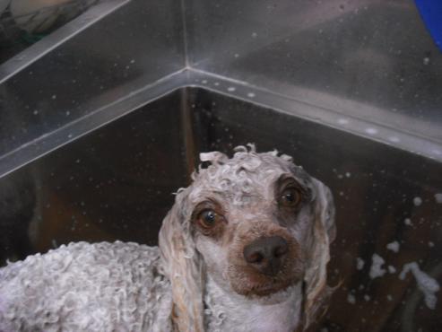 ファイル 126-2.jpg