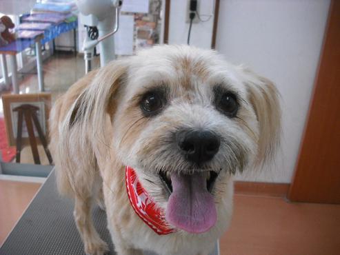 ファイル 1260-1.jpg