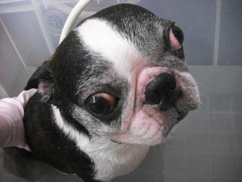 ファイル 1263-2.jpg