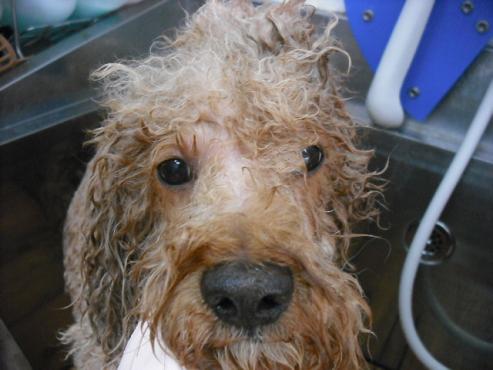 ファイル 1264-2.jpg