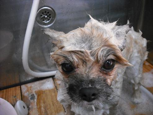 ファイル 1265-2.jpg