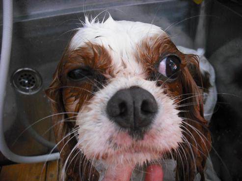 ファイル 1266-2.jpg