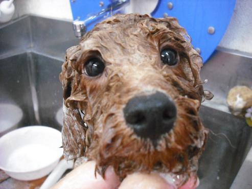 ファイル 1267-2.jpg