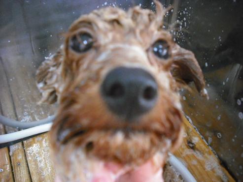 ファイル 1268-2.jpg