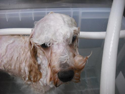 ファイル 1269-2.jpg