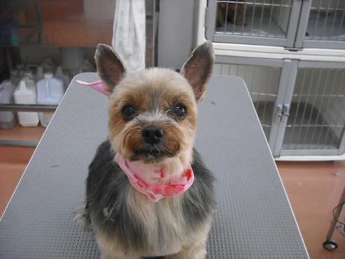 ファイル 127-1.jpg