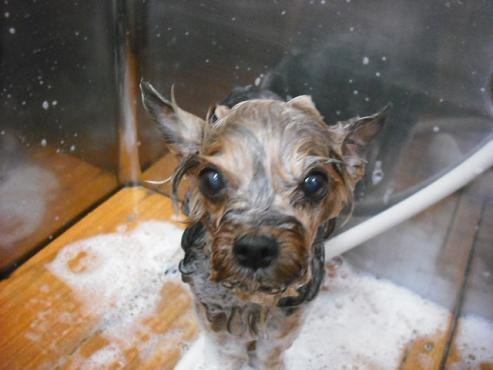 ファイル 127-2.jpg