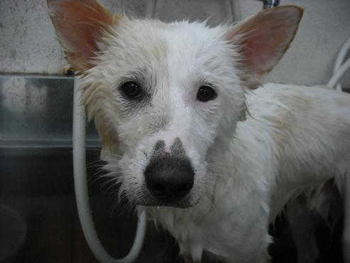 ファイル 1270-2.jpg