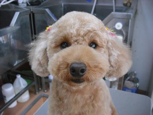 ファイル 1272-1.jpg