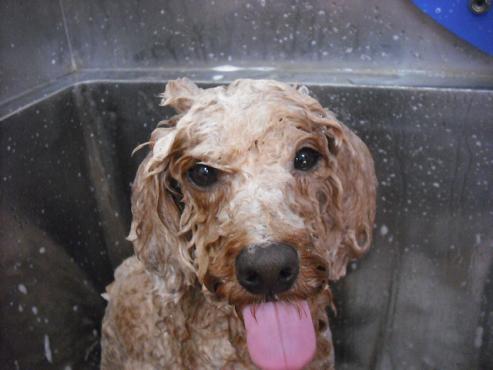 ファイル 1272-2.jpg