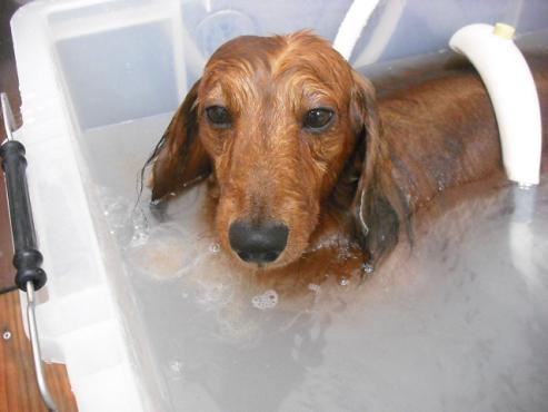 ファイル 1273-2.jpg