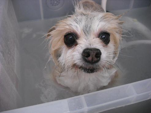 ファイル 1274-2.jpg