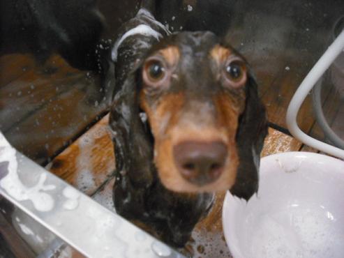 ファイル 1275-2.jpg