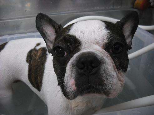 ファイル 1277-2.jpg